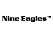 NINE EAGLES